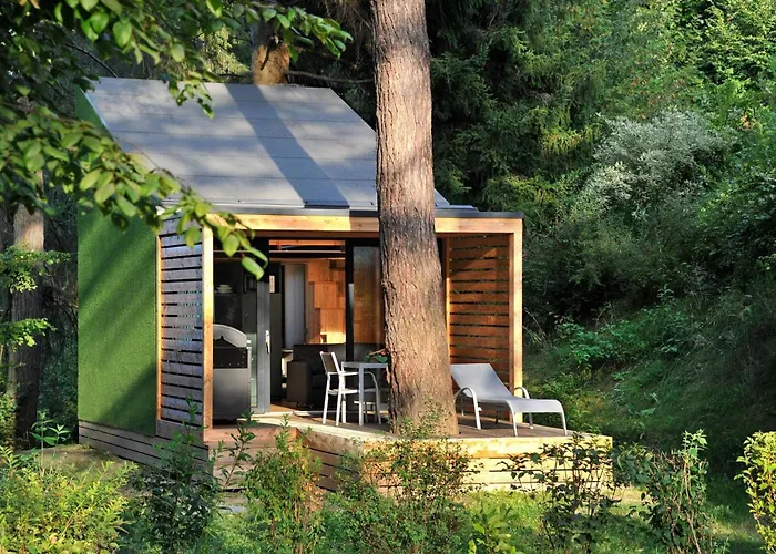 페리엔파라디스 나터러 제 *