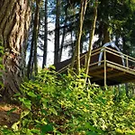 Ferienpark Ferienparadies Natterer Neu Gotzens